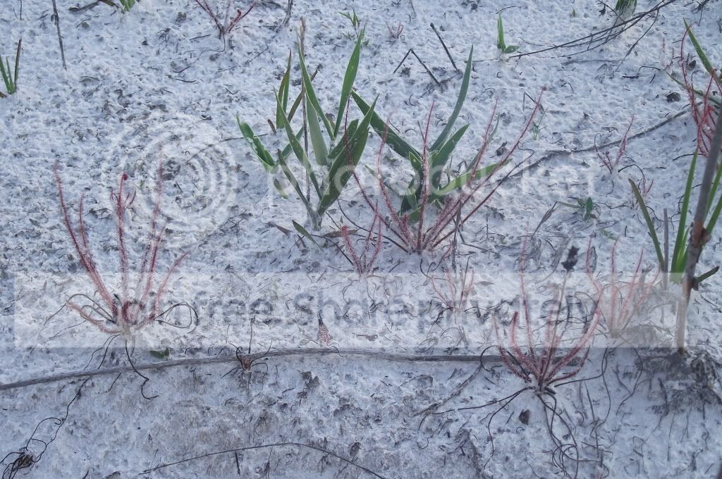 DSCF8805.jpg