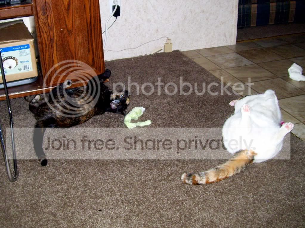 100_7289.jpg