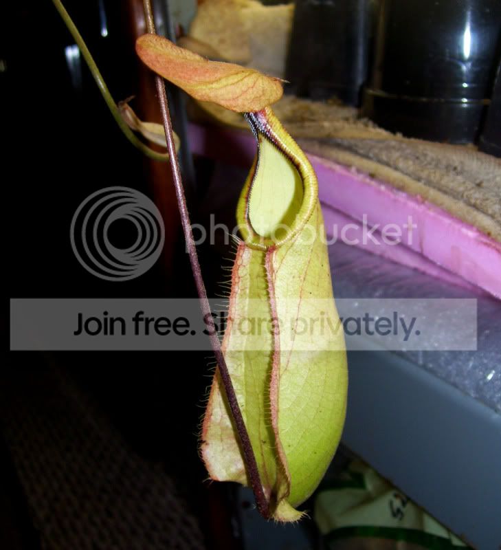 100_3053.jpg