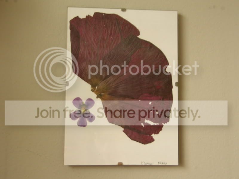 DSCN3458.jpg