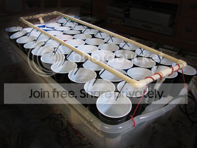 As_1395-1.jpg