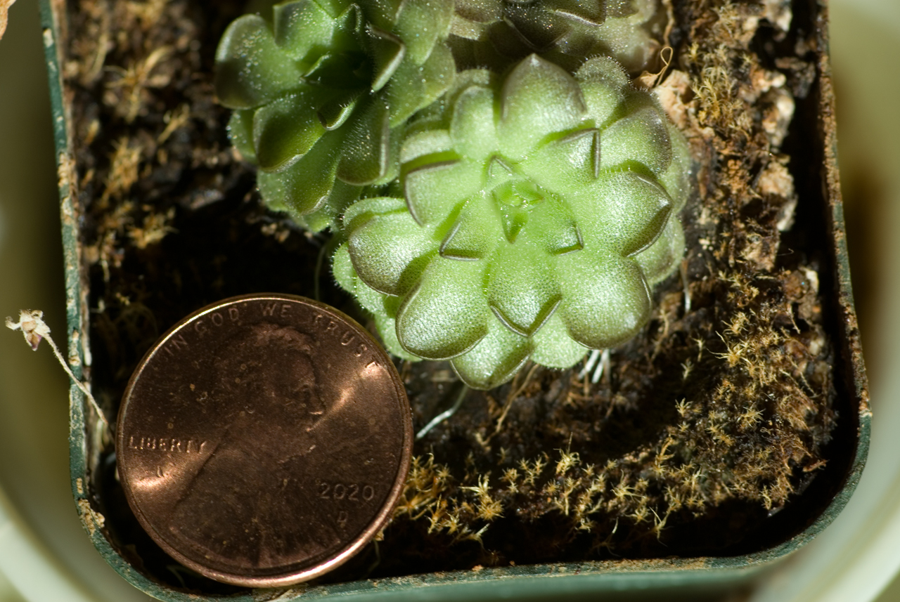 6s5d86F.jpg