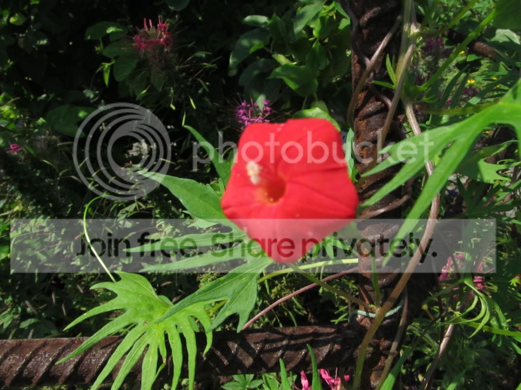 IMG_8381.jpg