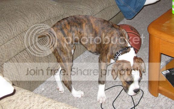 IMG_0726.jpg