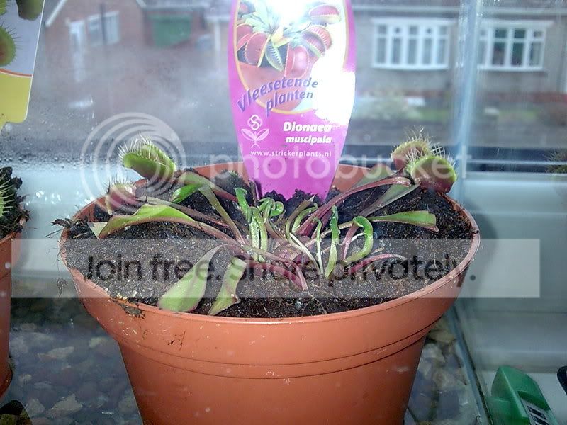 Image003.jpg
