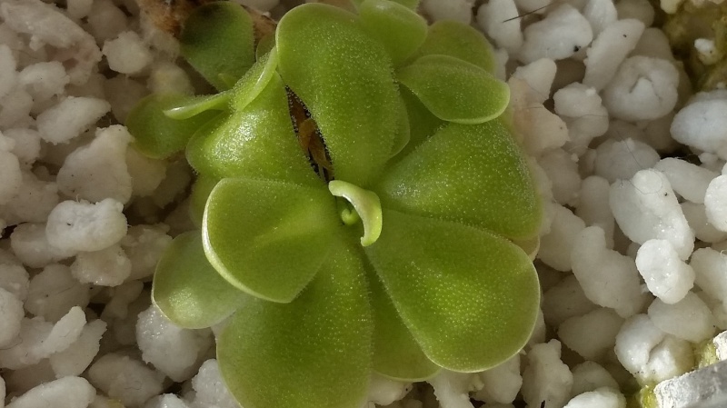 20130112.jpg
