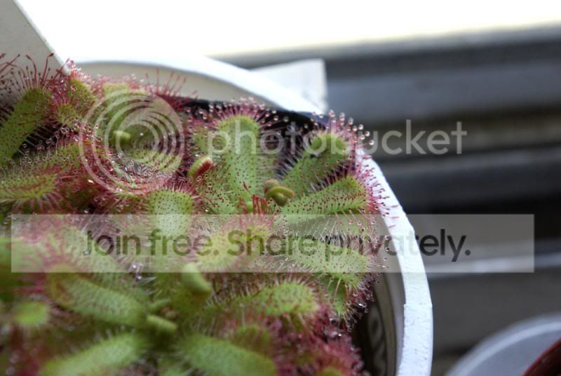 _IGP9314a.jpg