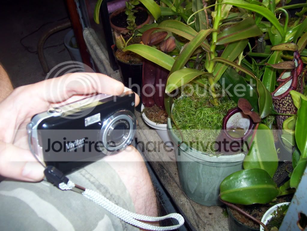 100_4251.jpg