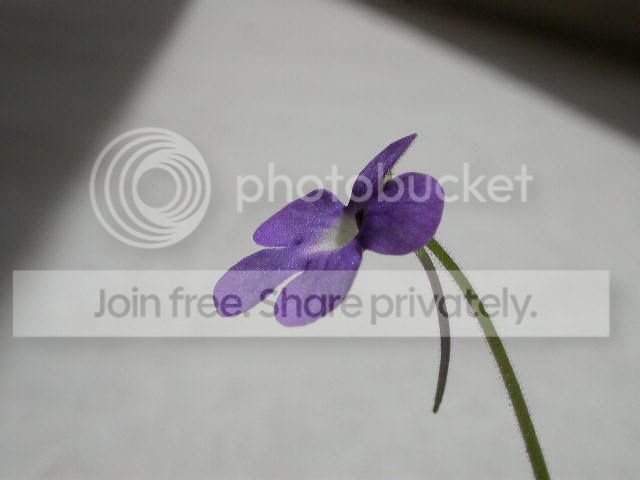 DSCN2097.jpg
