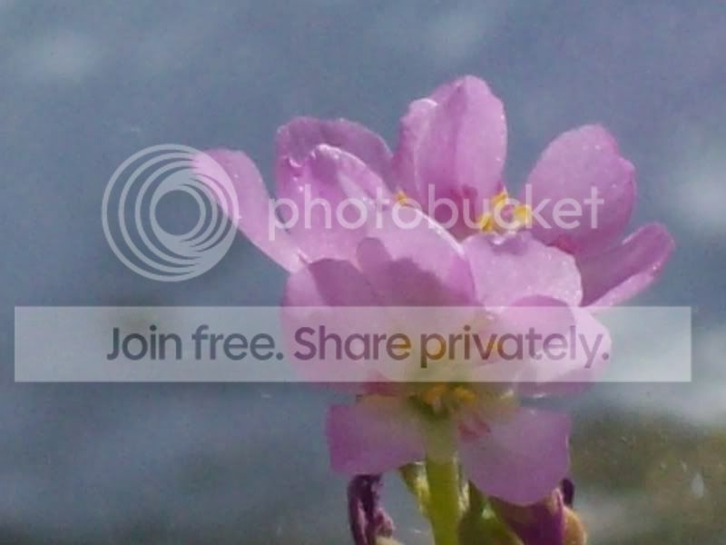 100_9501.jpg
