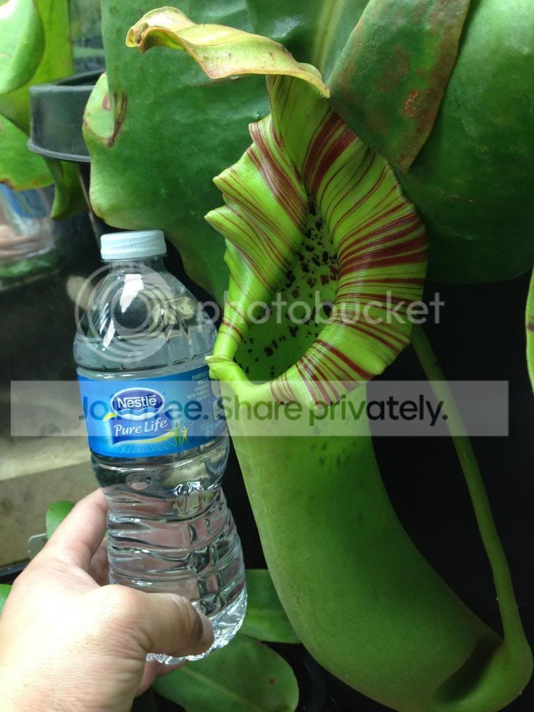 image_zpsc3090054.jpg