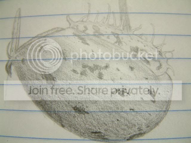 art004.jpg