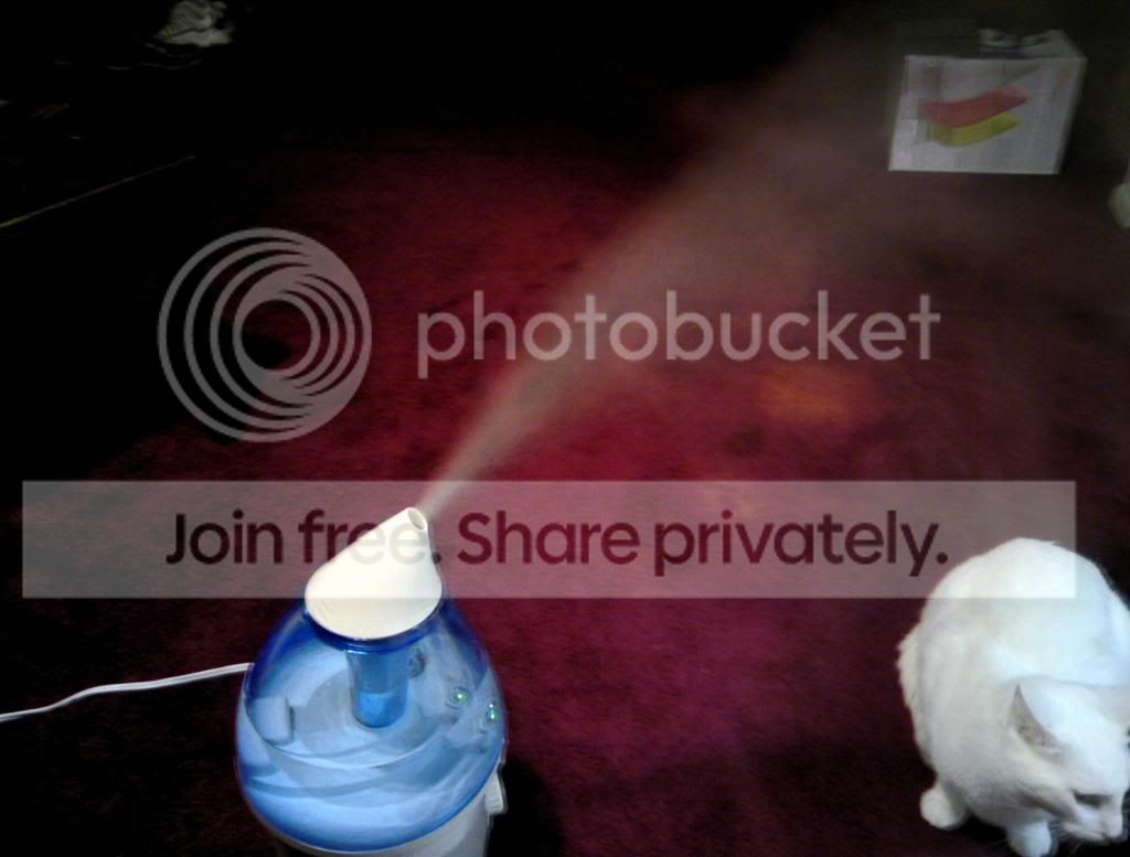 20111120_009b.jpg