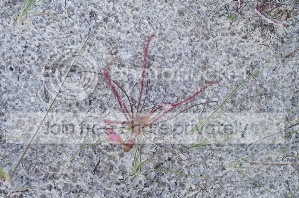 DSCF8823.jpg