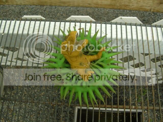 DSCN4376.jpg