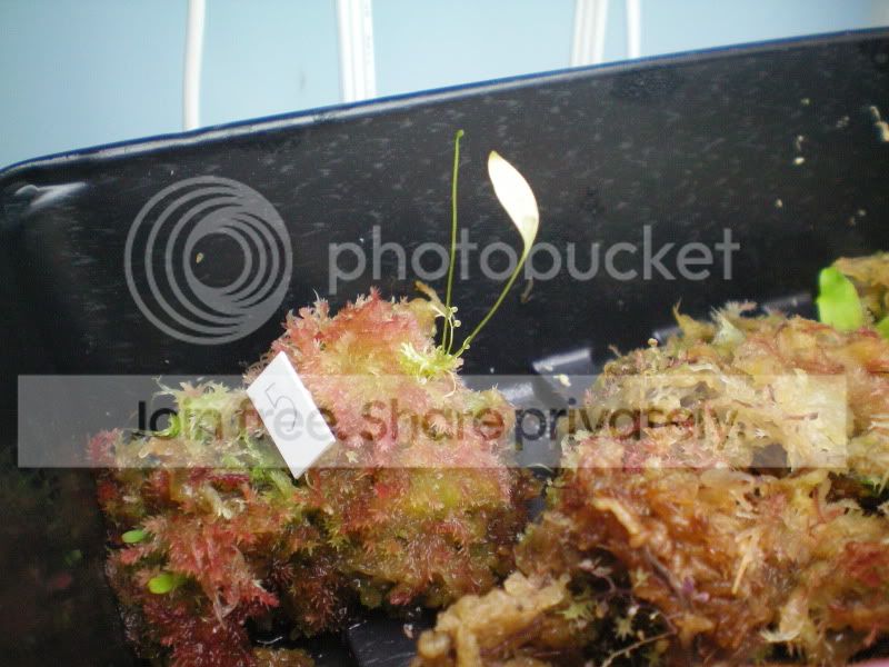 100_0016.jpg