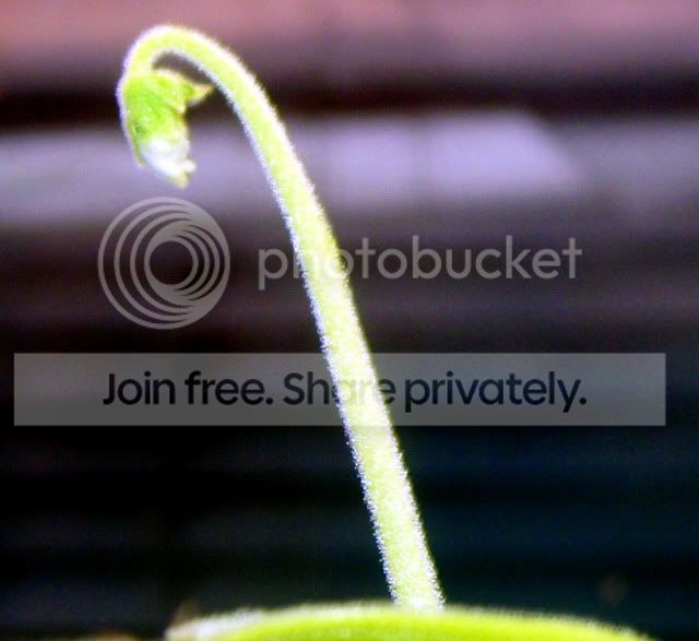 100_3887.jpg