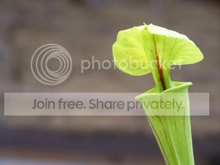 100_3331.jpg