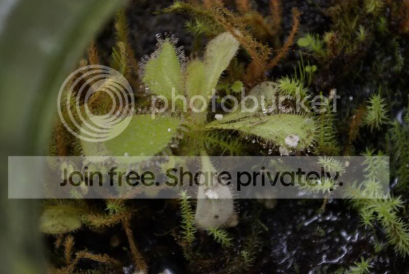 _IGP0249.jpg