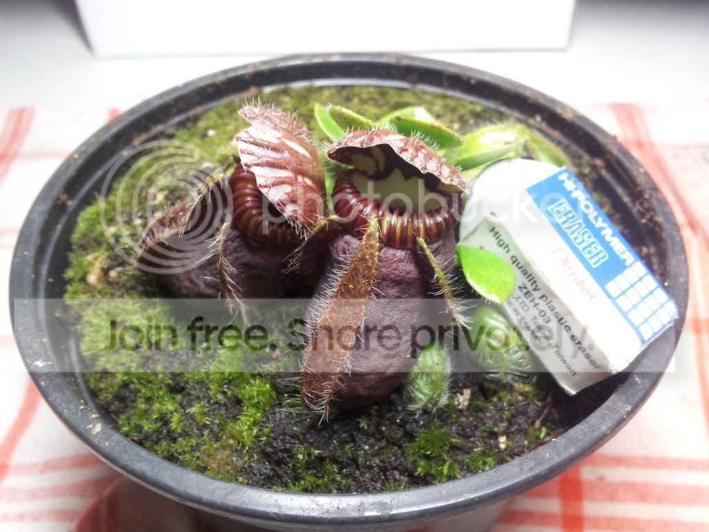 2011-09-13161155.jpg