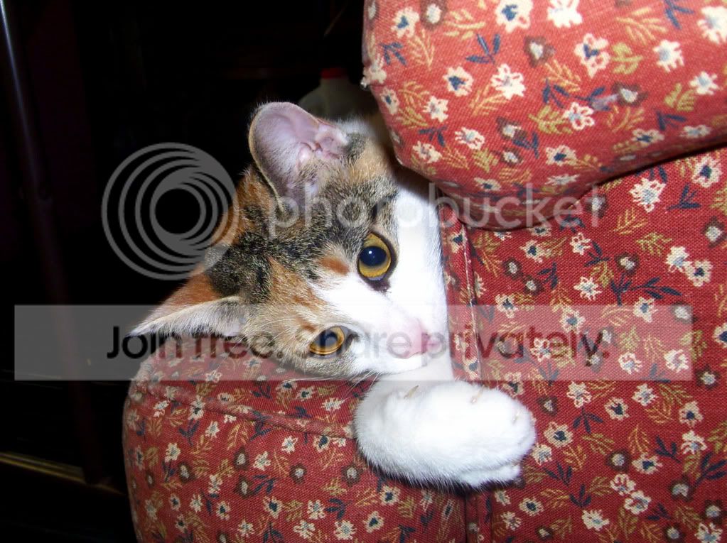 100_4325.jpg
