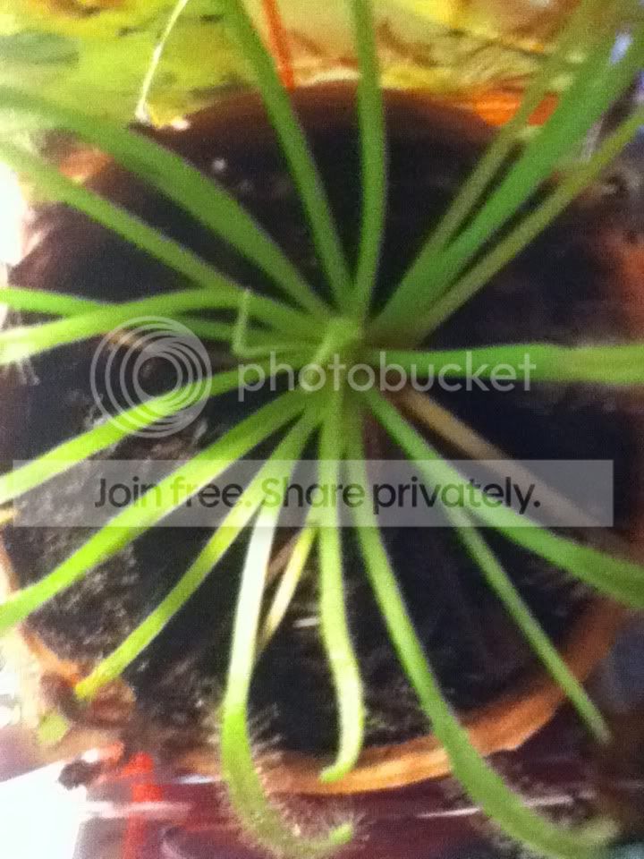 photo-9.jpg