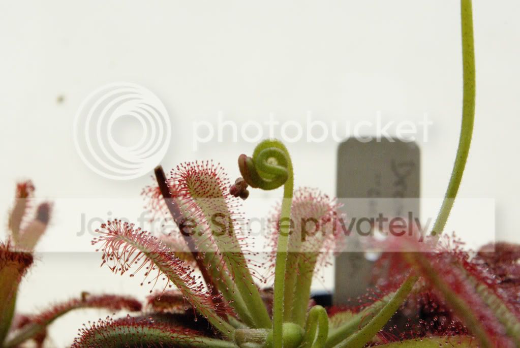 _IGP0708a.jpg