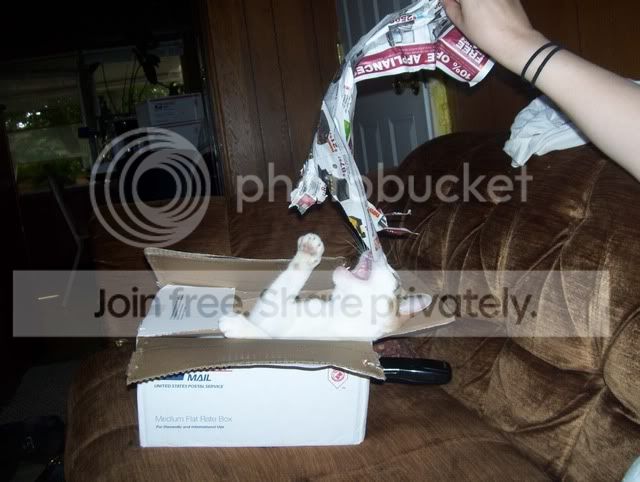 100_3855.jpg
