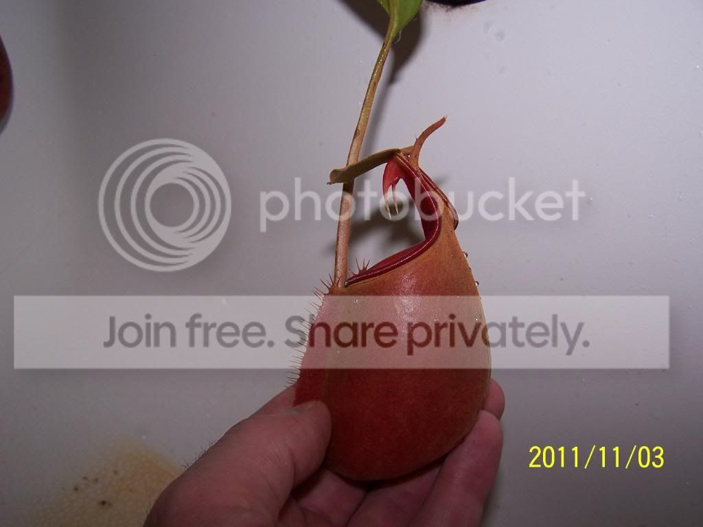 100_5509.jpg