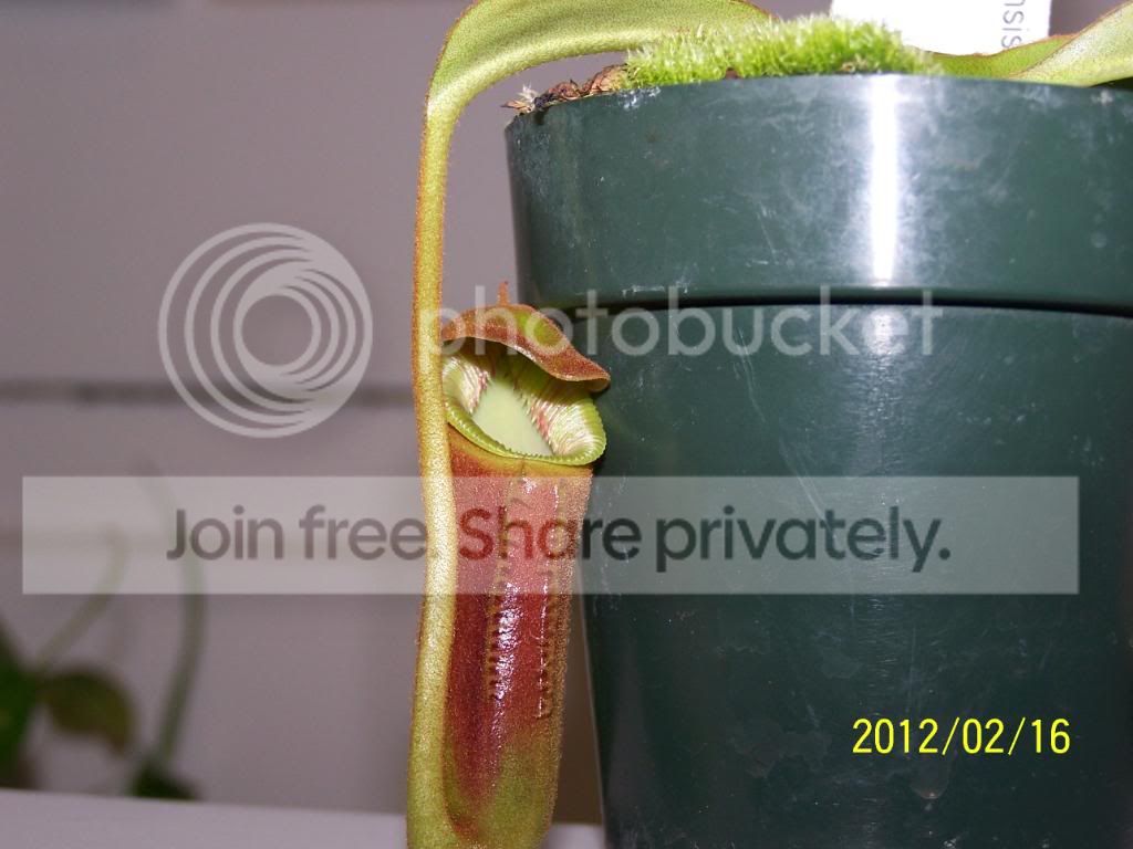 100_5834.jpg