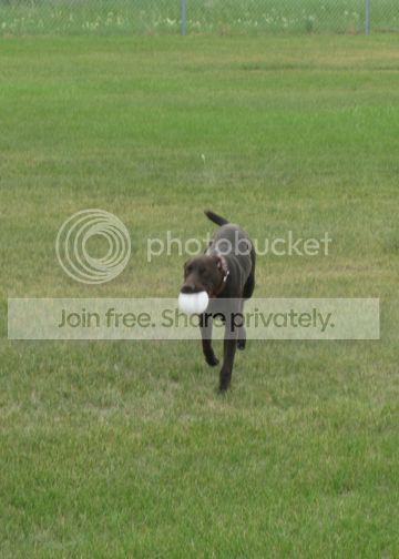 IMG_0591.jpg