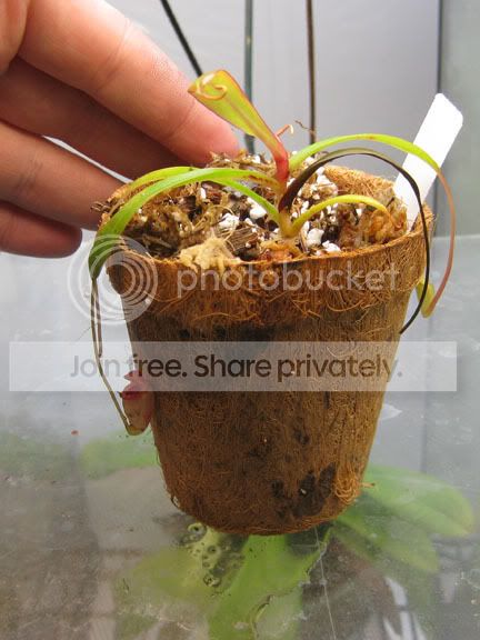 IMG_0806.jpg