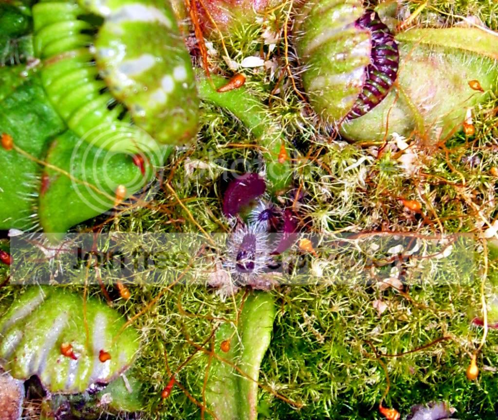 100_8157.jpg