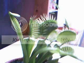 Picture030.jpg