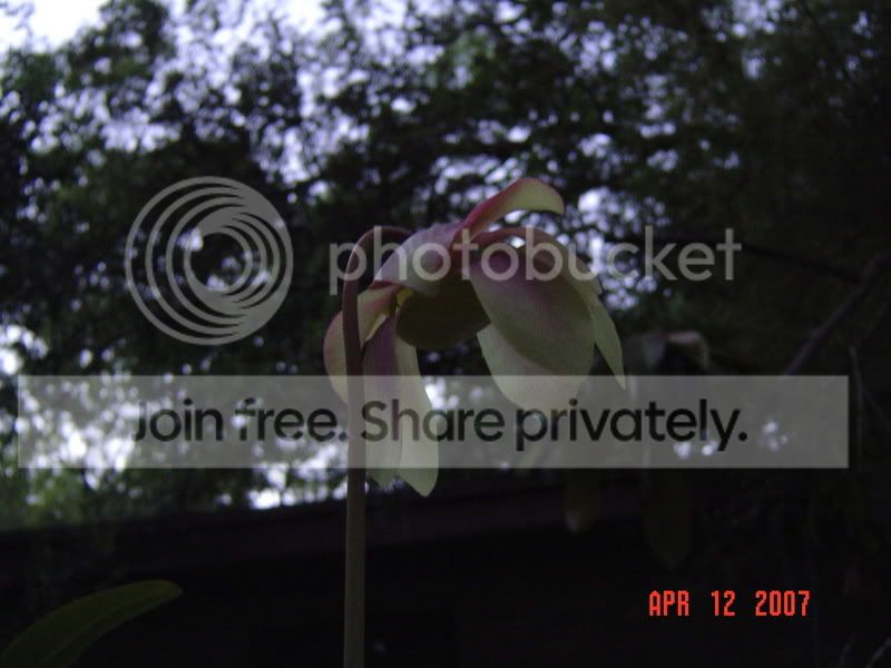 DSC00704.jpg