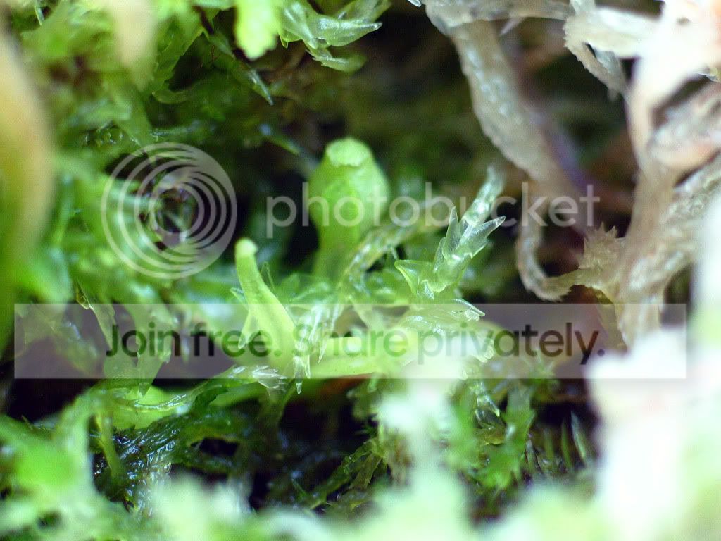 IMG_3717.jpg