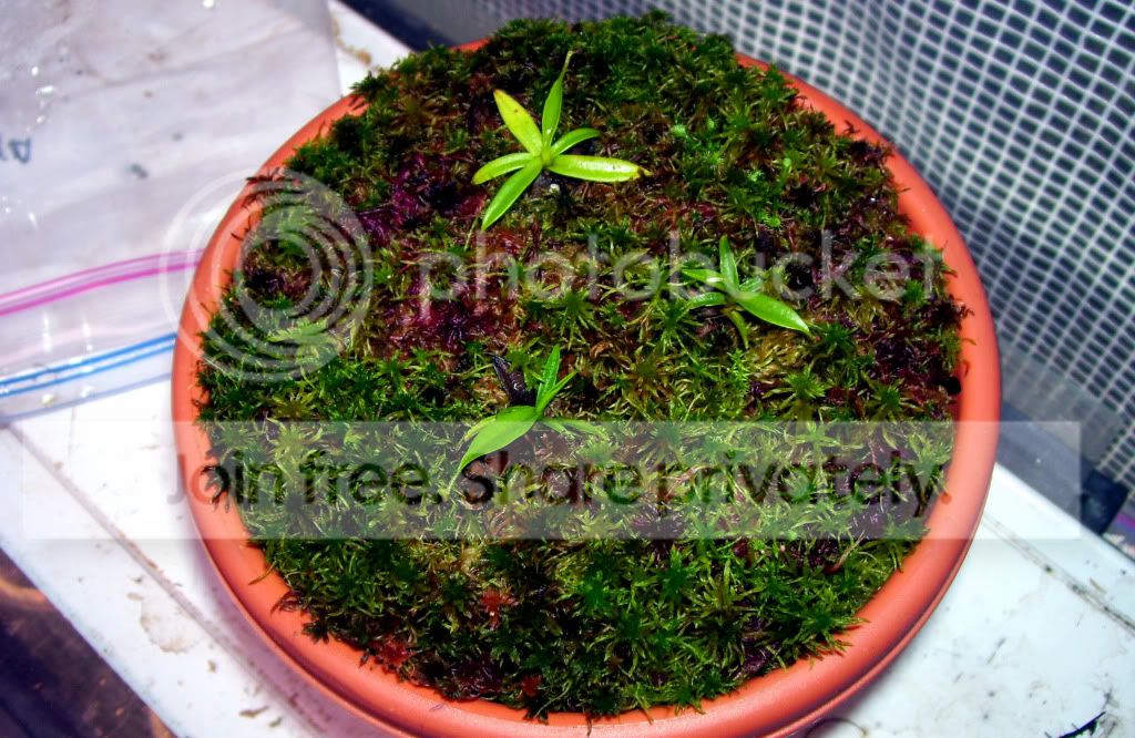 100_6611copy.jpg