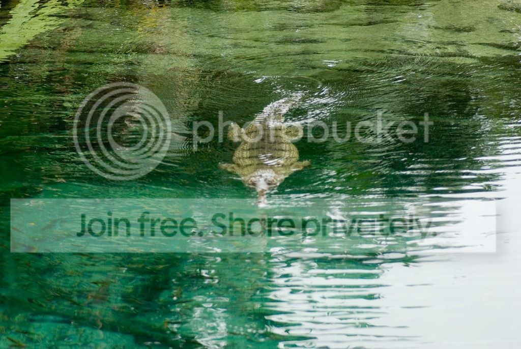 IMGP3349_zpsncb1jbph.jpg