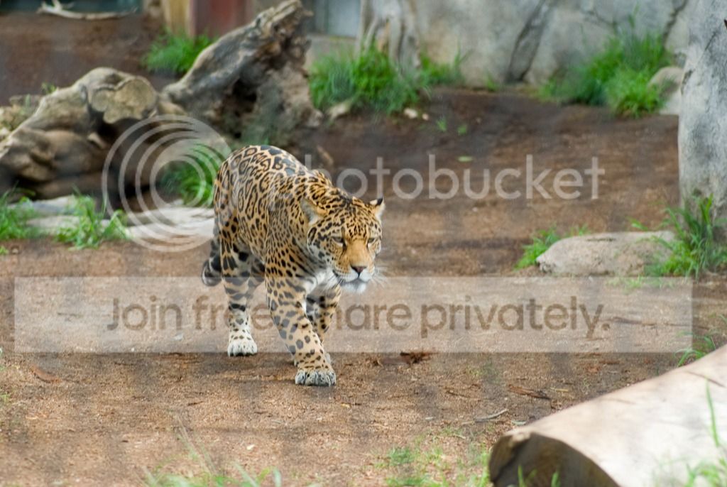IMGP3576_zpss8dtvaan.jpg