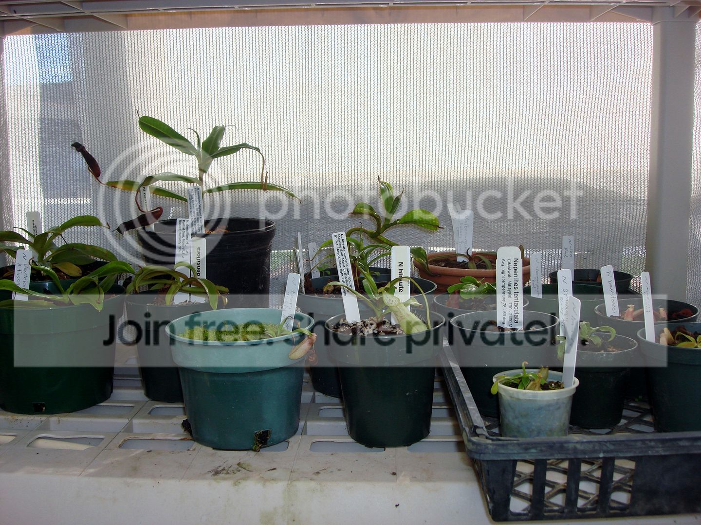 DSC07786.jpg