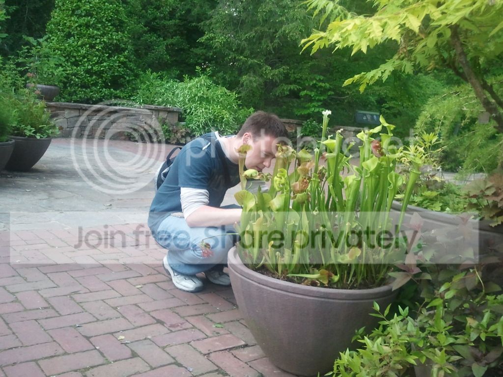 2011-05-28194519.jpg
