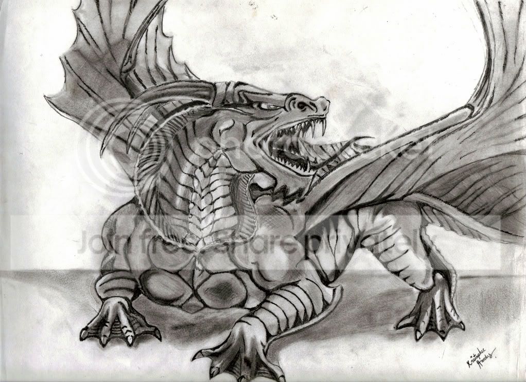 DragonFinish-1.jpg
