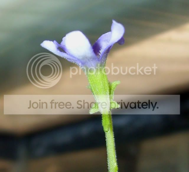100_3776.jpg