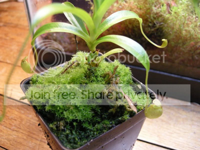 DSCN5777.jpg