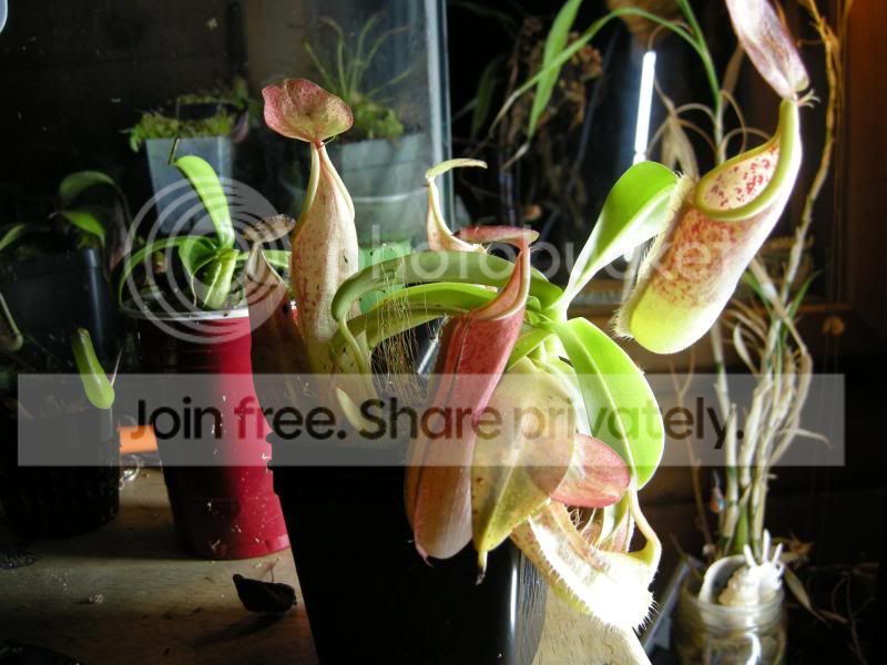 jfjhfl.jpg