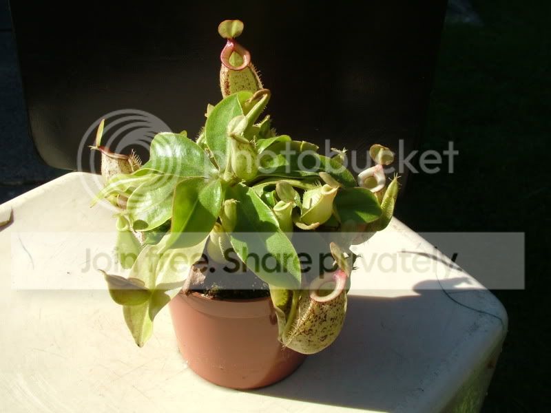 DSCF9501.jpg