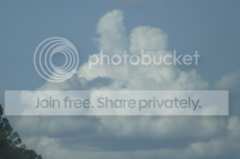 DSCF8608.jpg