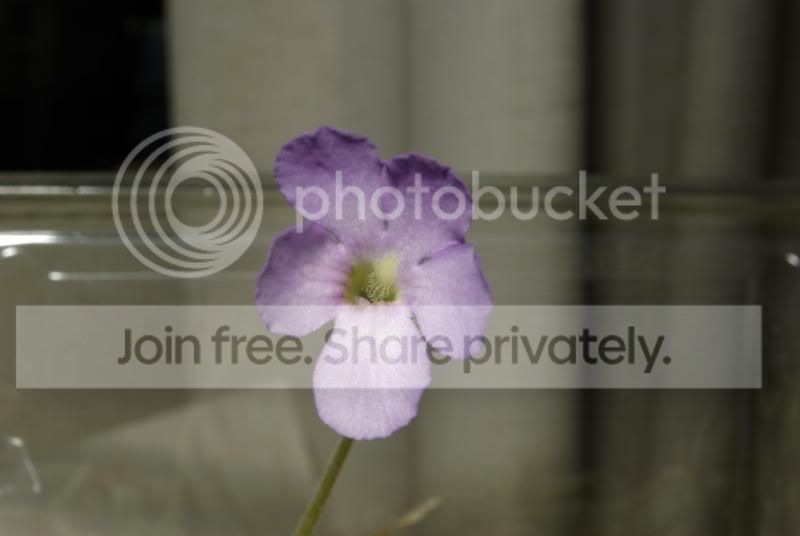 _IGP9221.jpg