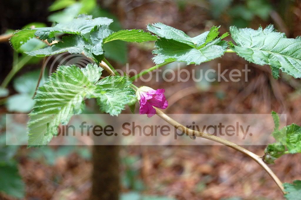 DSC_01950001.jpg