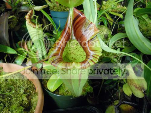 Novata_6-14-12.jpg